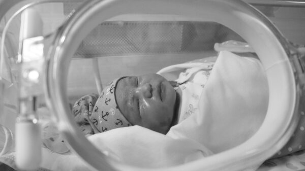 Día contra Cáncer de Pulmón, del Niño Prematuro, y de la Filosofía, Martin Scorsese y Berto Romero