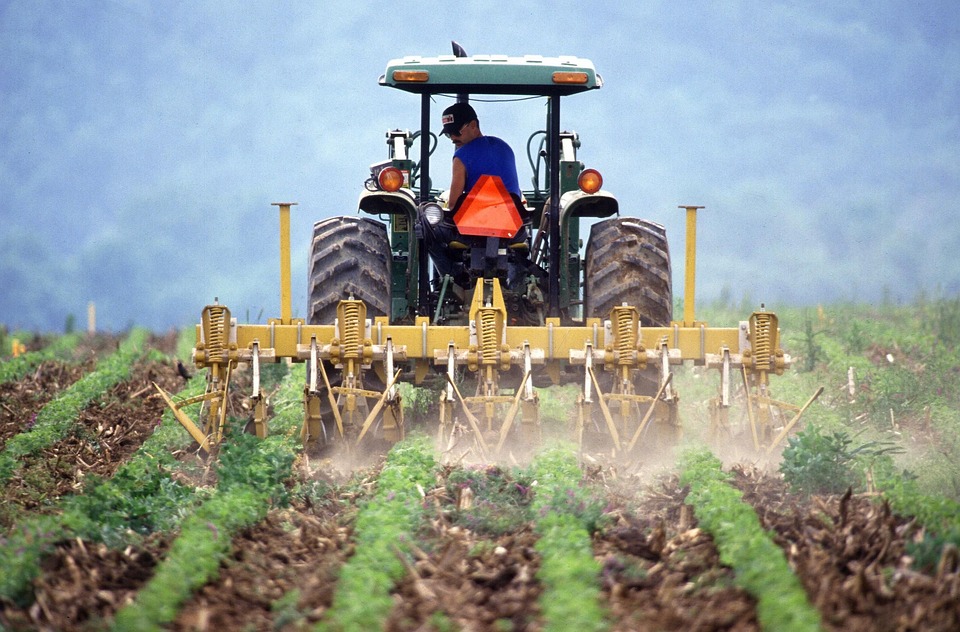 Agricultura tiene el nivel más alto de siniestralidad de trabajadores extranjeros
