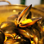 Clam Chowder, un plato con sabor genuinamente americano