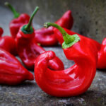 Ajvar, un condimento multiusos de pimiento y berenjena, ideal para aperitivos