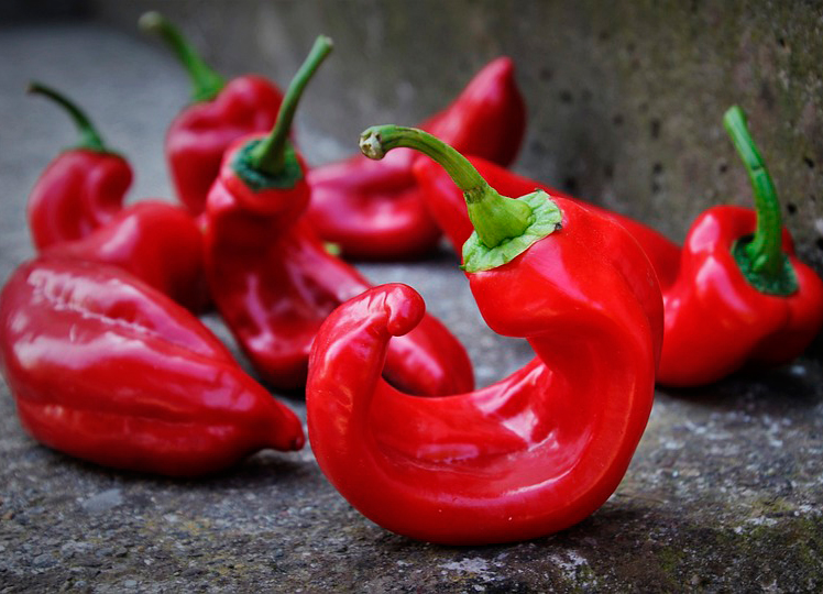 Ajvar, un condimento multiusos de pimiento y berenjena, ideal para aperitivos