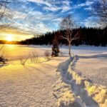 Día Mundial de la Nieve, Día de la Religión, Dabiz Muñoz e Iñaki Urdangarin Día Mundial de la Nieve, Día de la Religión, Dabiz Muñoz e Iñaki Urdangarin