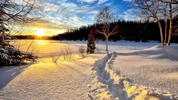 Día Mundial de la Nieve, Día de la Religión, Dabiz Muñoz e Iñaki Urdangarin
