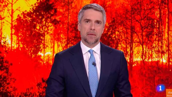 Arrasadas 3.800 hectáreas en una zona de gran riqueza forestal en Comunidad Valenciana