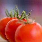 Tomates rellenos de arroz y atún, sencillos de preparar y con mucho sabor