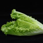 Originales barquitas de lechuga o de endibias con un rico relleno de carne