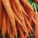 Una dieta rica en carotenos se asocia con una menor presencia de grasa en las arterias