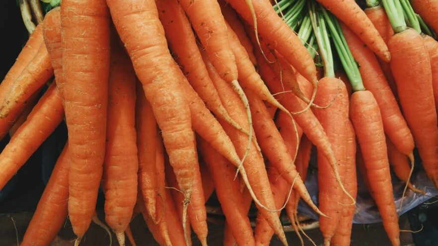 Una dieta rica en carotenos se asocia con una menor presencia de grasa en las arterias Una dieta rica en carotenos se asocia con una menor presencia de grasa en las arterias