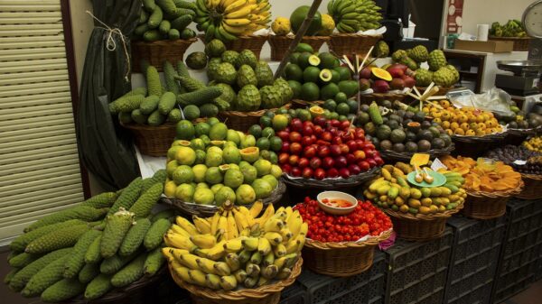 Día de la Fruta, Día del Reggae, Día del Chiste, Cristina Cifuentes y Daniel Ricciardo