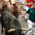 Núñez del Cuvillo, veloces y peligrosos, con grandes sustos en Santo Domingo y Mercaderes Núñez del Cuvillo, veloces y peligrosos, con grandes sustos en Santo Domingo y Mercaderes
