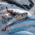 Filetes de sardinas a las hierbas aromáticas, un plato rico, barato y sano Filetes de sardinas a las hierbas aromáticas, un plato rico, barato y sano