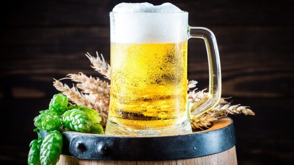 Día de la Cerveza, Meghan Markle, Barack Obama, Zapatero, y Eva Amaral