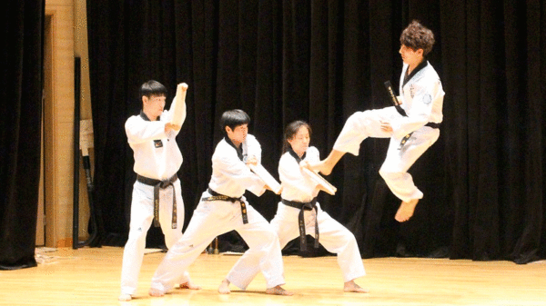 Día del Taekwondo, Beyoncé, Raúl Albiol y Fernando García de Cortázar