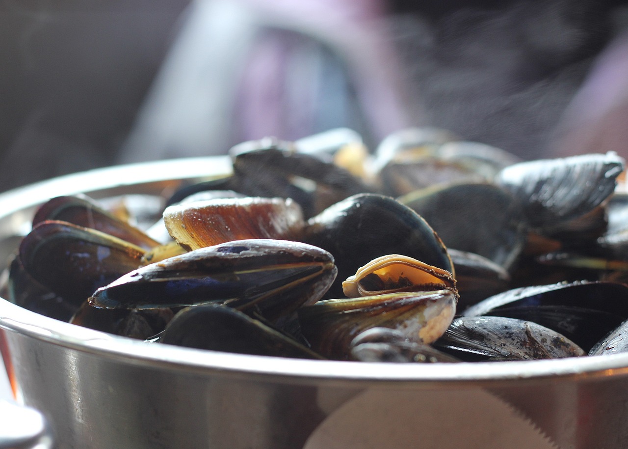 Clam Chowder, un plato con sabor genuinamente americano