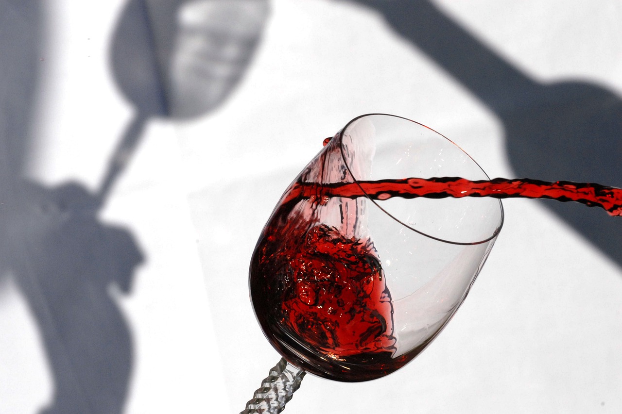 Día del Vino Tinto, Día de la Evolución, Día de los Gemelos Siameses, Julieta Venegas, Katherine Heigl y Julián Muñoz