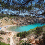 Las novelas actuales contribuyen a comprender la degradación medioambiental del Mediterráneo