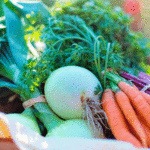 Pechugas o muslos de pollo con un rico mix de verduras frescas muy sanas