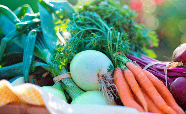 Pechugas o muslos de pollo con un rico mix de verduras frescas muy sanas