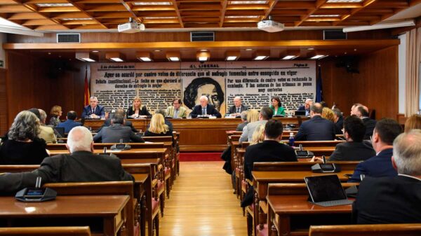 El Tribunal de Cuentas cometió varias irregularidades en la pandemia de forma consciente El Tribunal de Cuentas cometió varias irregularidades en la pandemia de forma consciente