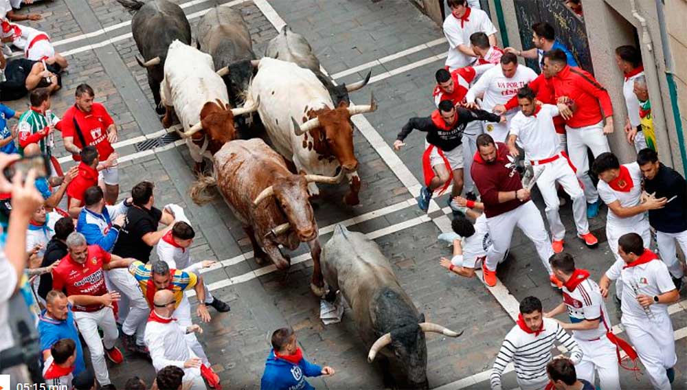 Los toros de José Escolar (Lanzahita, Ávila), una carrera muy peligrosa, llena de heridos y alta tensión