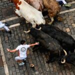 Jandilla, la ganadería más peligrosa por toros que sacan a relucir su bravura, dejó miedo, peligro y heridos Jandilla, la ganadería más peligrosa por toros que sacan a relucir su bravura, dejó miedo, peligro y heridos