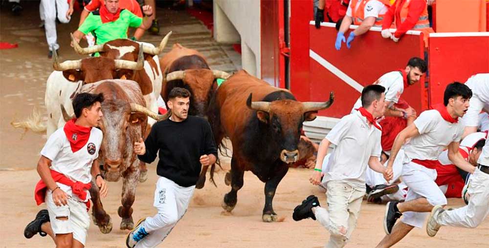 Los Miura criados en la finca Zahariche, en el término sevillano de Lora de Río, desataron el pánico en Pamplona