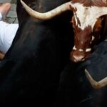 Hubo pánico en Pamplona con los toros rápidos y muy peligrosos de Victoriano del Río Hubo pánico en Pamplona con los toros rápidos y muy peligrosos de Victoriano del Río