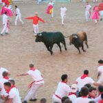 Los toros de la ganadería gaditana de La Palomosilla evitaron lo que hubiera sido el mayor drama en Pamplona Los toros de la ganadería gaditana de La Palomosilla evitaron lo que hubiera sido el mayor drama en Pamplona