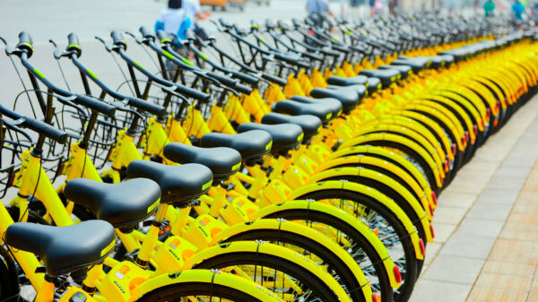 El ciclismo vive su edad dorada, con un presente y un futuro sobre ruedas