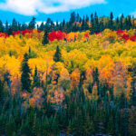 Otoño, Día de la Narcolepsia, Día Europeo sin Coches, Andrea Bocelli, y Rosamunde Pilcher