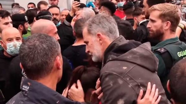 El Gobierno impidió que el Ejército cumpla con su función, la denuncia del teniente general Pitarch