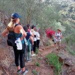 El Turismo Activo y Ecoturismo en Canarias: pilar estratégico para un modelo turístico sostenible