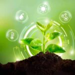 Descubrir cómo los microorganismos del suelo están revolucionando la productividad agrícola
