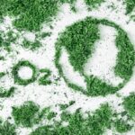 Viajar con menos impacto, la huella de carbono en el turismo y cómo compensarla