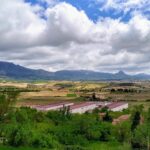 El derecho rústico y sus áreas de aplicación en la vida rural