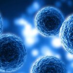 Exosomas, el avance más prometedor en rejuvenecimiento y cuidado de la piel