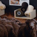 Harry’s 1982 lanza su nueva colección otoño/invierno, fusionando estilo clásico y contemporáneo