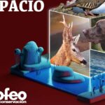 Trofeo Caza y Conservación es un referente de la caza sostenible en España