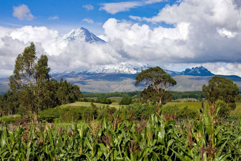 Bolivia, Colombia, Ecuador y Perú y la Secretaría General de la CAN lanzan iniciativa ‘Caminos Andinos’