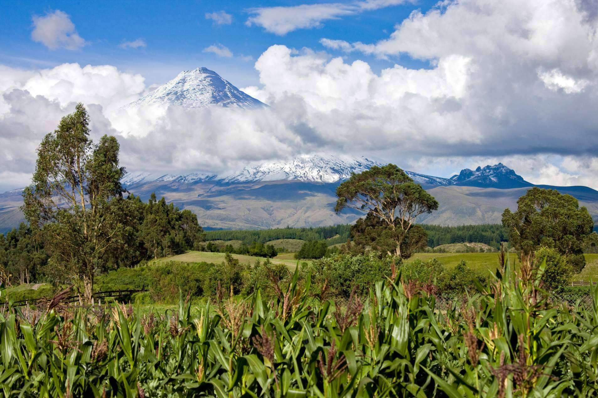Bolivia, Colombia, Ecuador y Perú y la Secretaría General de la CAN lanzan iniciativa ‘Caminos Andinos’