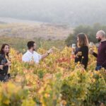 Bodegas Obergo, frescura y elegancia en los vinos blancos del Somontano