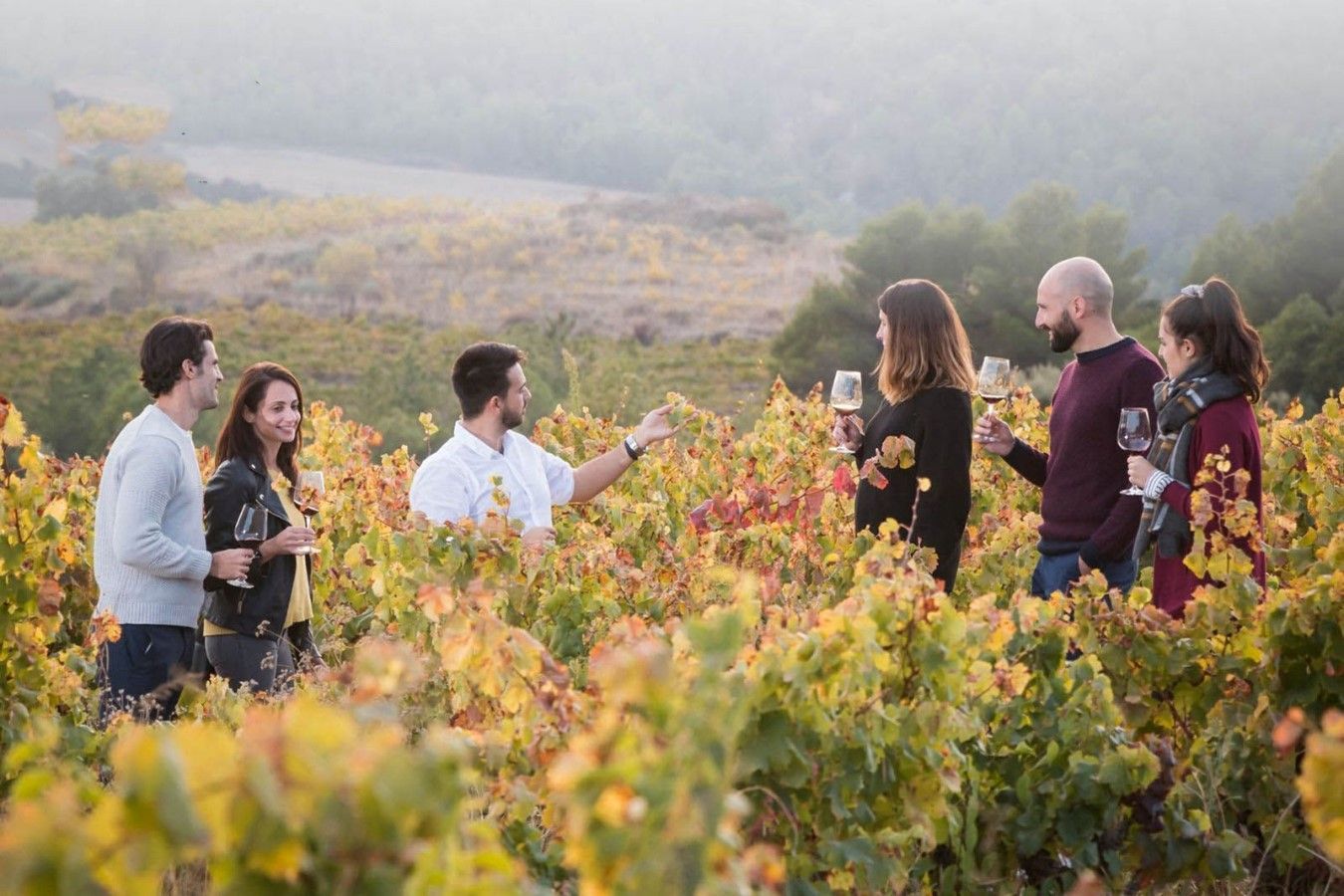 Bodegas Obergo, frescura y elegancia en los vinos blancos del Somontano