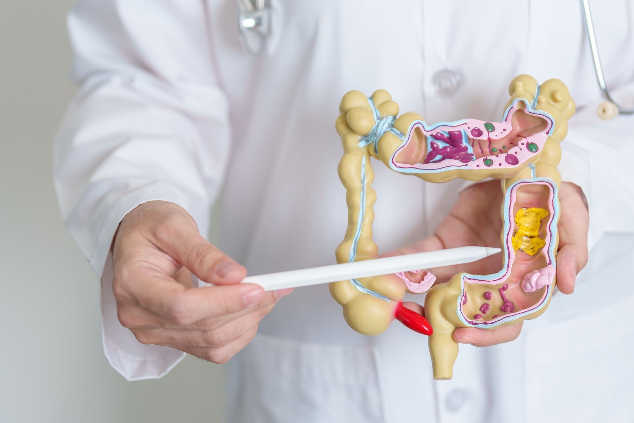 Dr. Juan Arenas, jefe del Servicio de Aparato Digestivo de Policlínica Gipuzkoa: “El aumento de casos de colitis ulcerosa y Crohn podría estar relacionado con la alimentación”