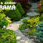 Viveros Florama: Donde los sueños de un jardín se hacen realidad