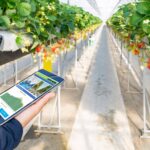 Vender más y mejor en canales cortos de comercialización gracias al Kit Digital