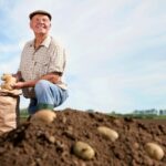 El Amazon de los Agricultores; JGCmarket Revoluciona el comercio justo y de proximidad