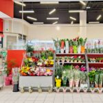 Verdissimo Lanza un Display Innovador para Transformar el Mercado de Rosas Preservadas