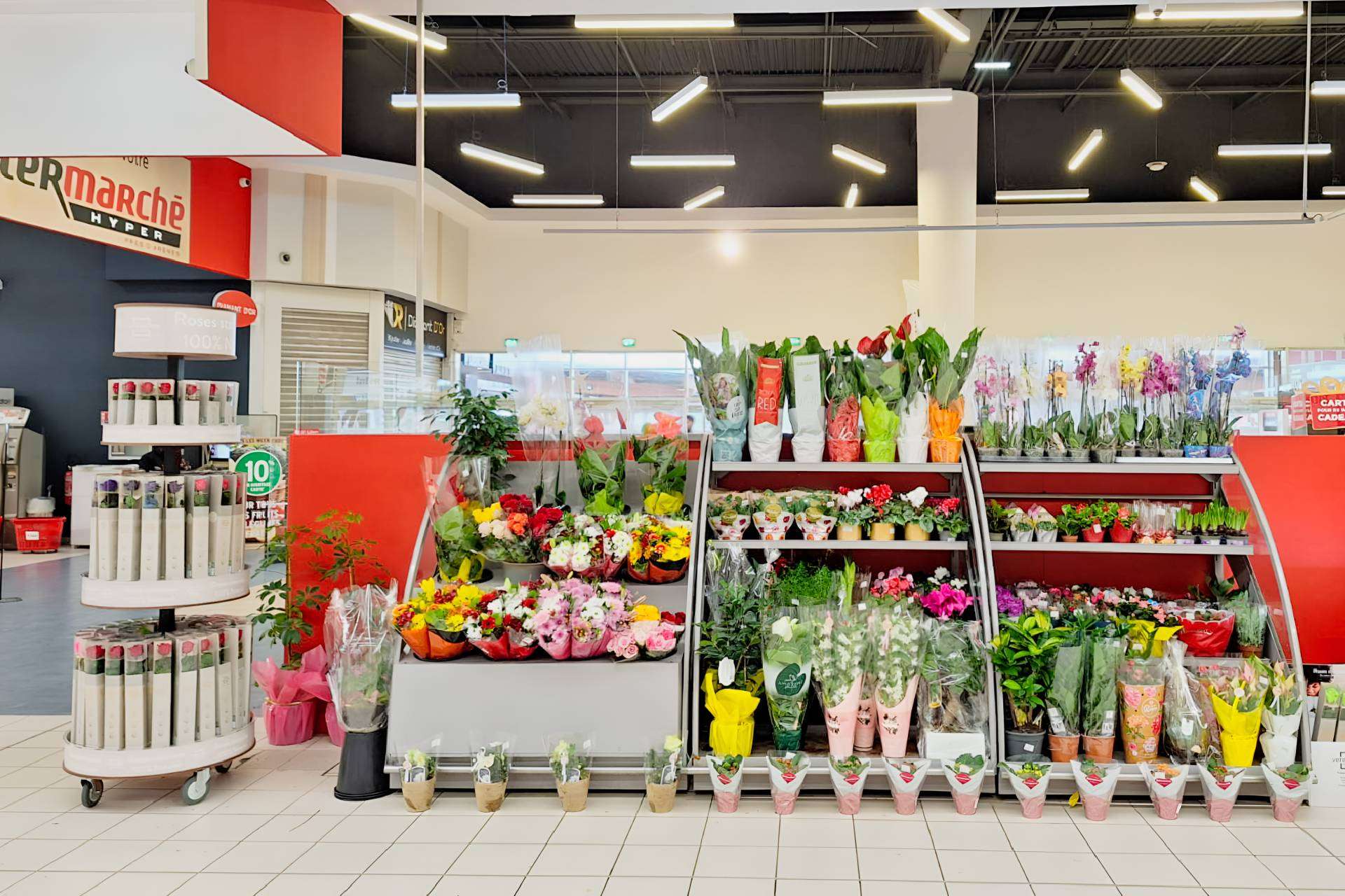 Verdissimo Lanza un Display Innovador para Transformar el Mercado de Rosas Preservadas Verdissimo Lanza un Display Innovador para Transformar el Mercado de Rosas Preservadas