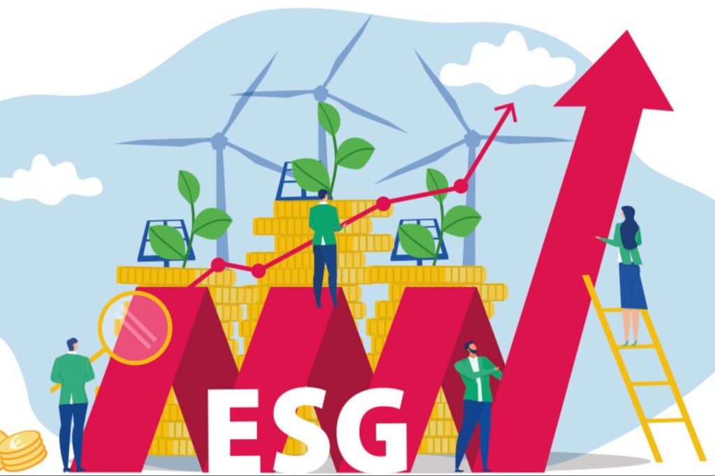Empresas y sostenibilidad, más allá de la obligación, una estrategia con impacto
