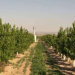El clamor del agricultor; Nace ANSAS como defensa de un sistema antigranizo frente a la criminalización